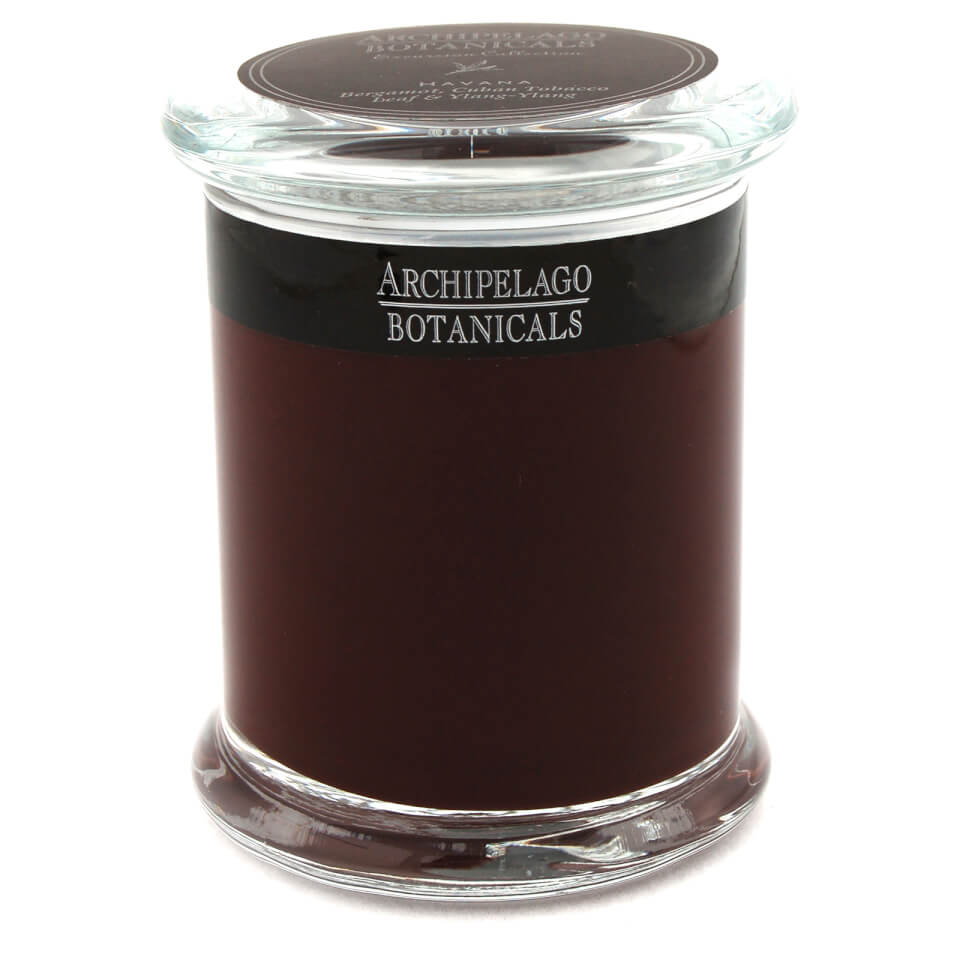 UPC 755167053672 product image for Archipelago Botanicals Excursions Jar Havana Candle 244g | upcitemdb.com