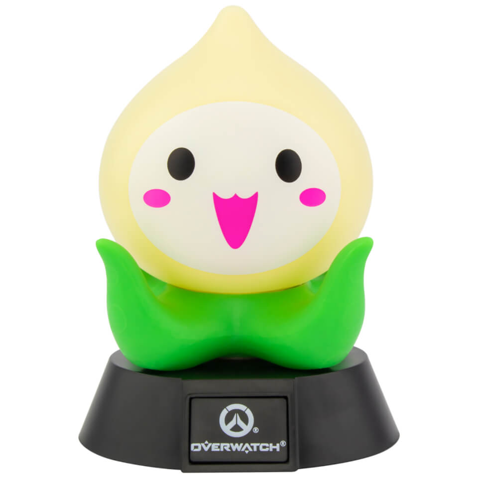 pachimari christmas