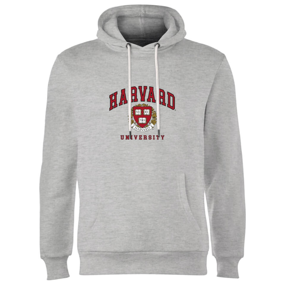 Harvard Hoodie - Grey Clothing - Zavvi UK