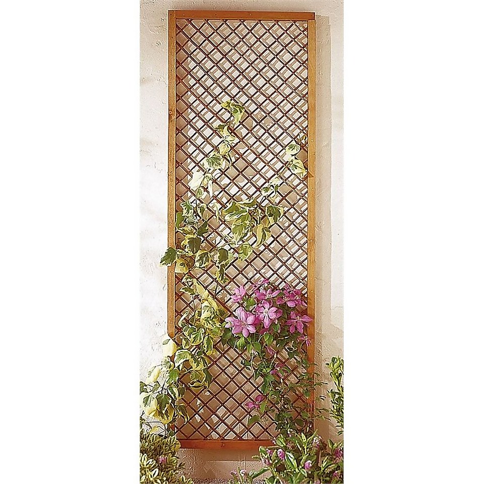 Framed Willow Trellis Homebase