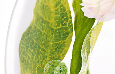 What is the Microbiome?