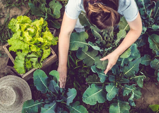 Une femme qui cultive des plantes sur une ferme.