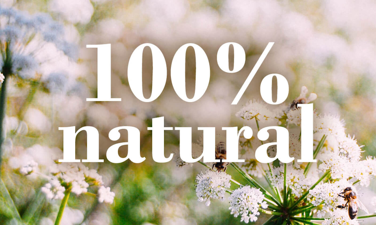 Everything we depend on to survive comes from nature