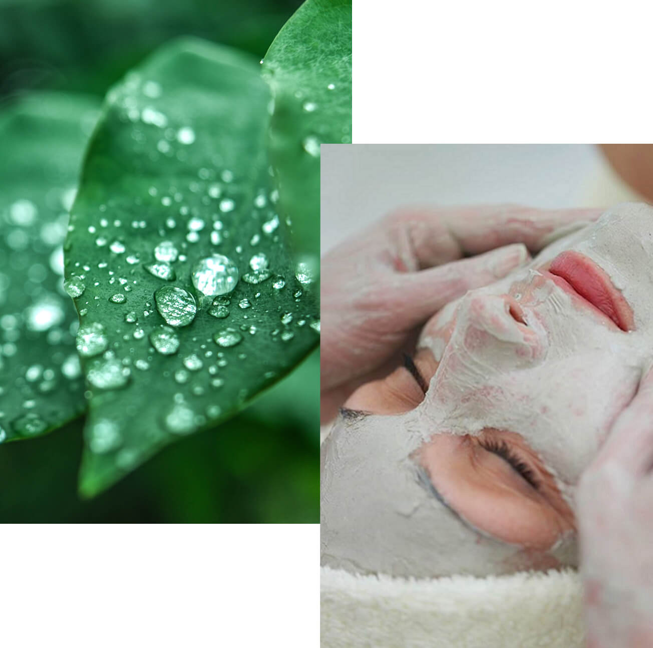 Image of pure, natural ingredients