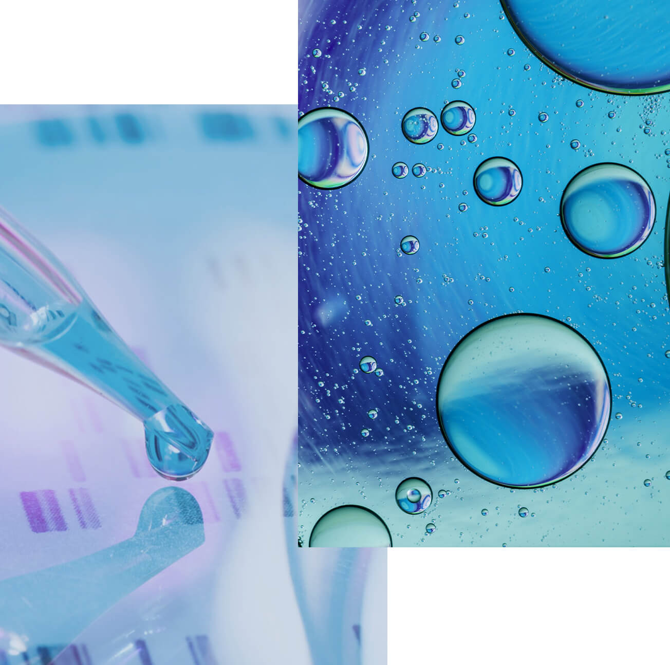Omorovicza Science