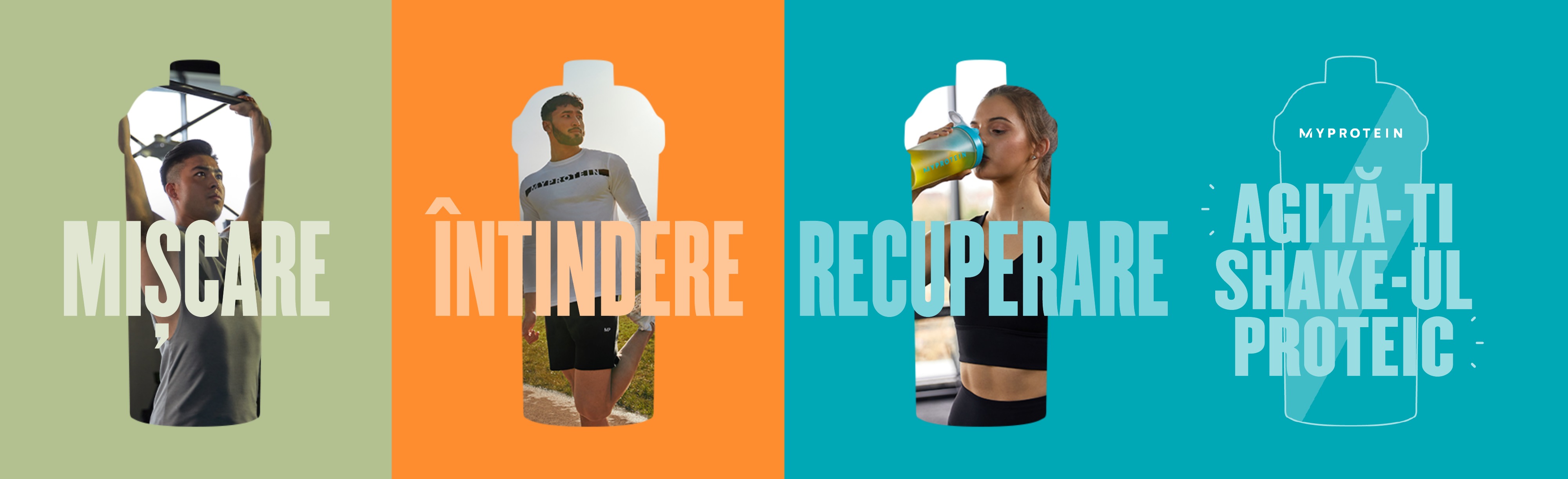 Protein Powder For Beginners