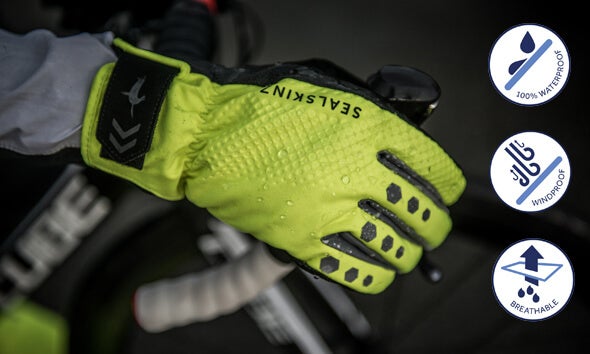 Sealskinz Gloves